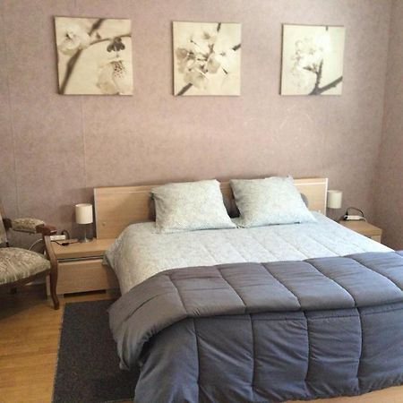 Couleur Framboise Apartman Longwy Kültér fotó