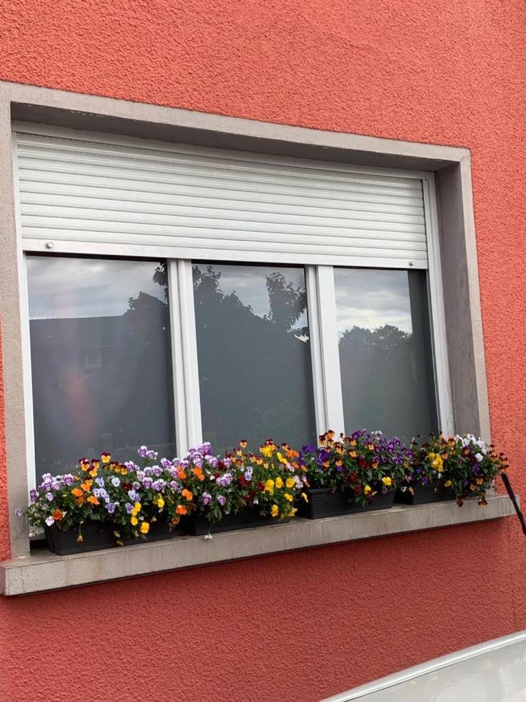 Couleur Framboise Apartman Longwy Kültér fotó