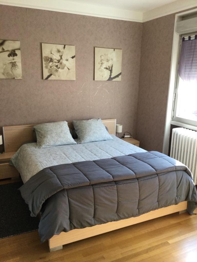 Couleur Framboise Apartman Longwy Kültér fotó